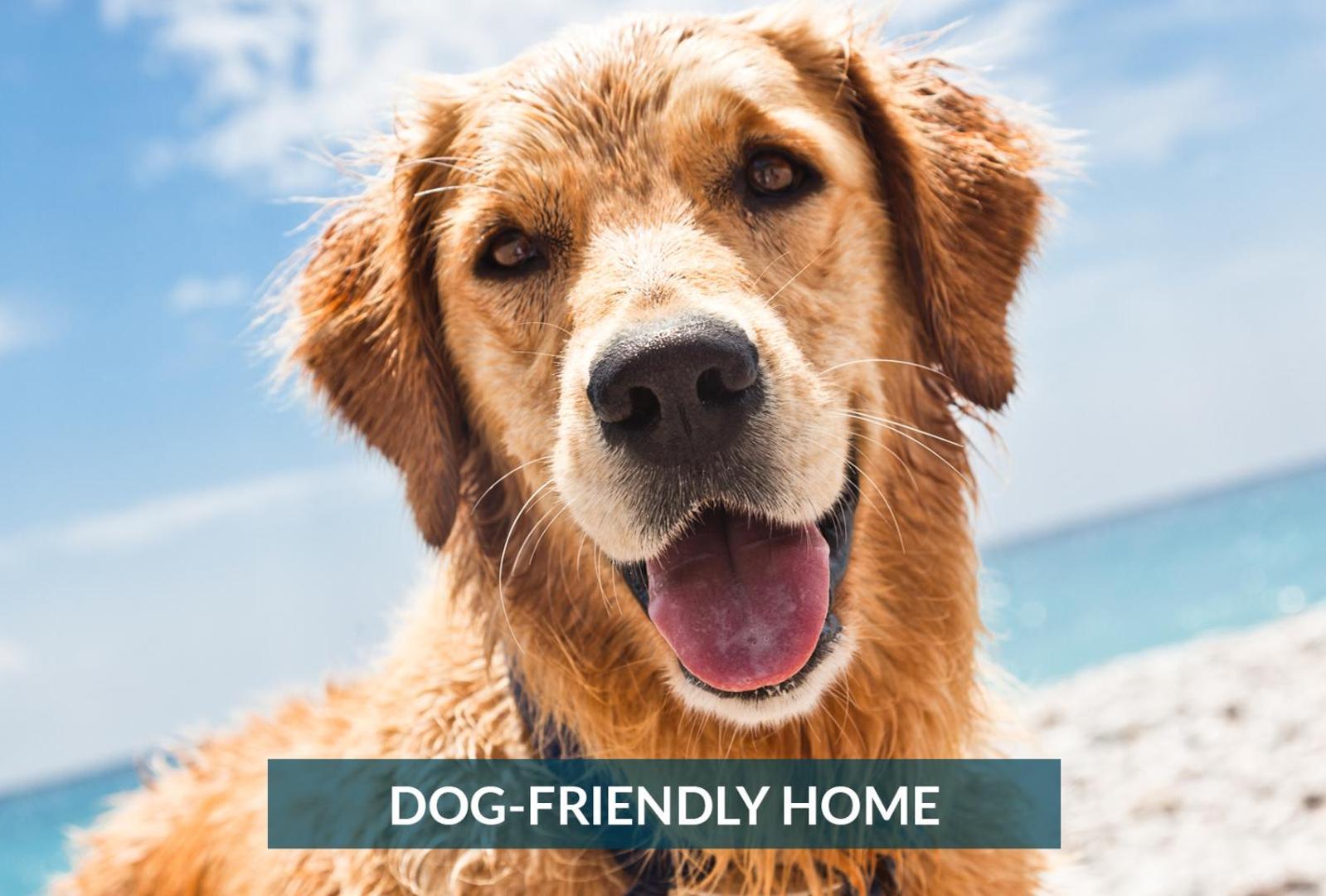 4011 The Dogs House 2 Min Walk To Beach Kitty Hawk Exterior foto